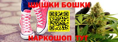 прущие грибы Канаш