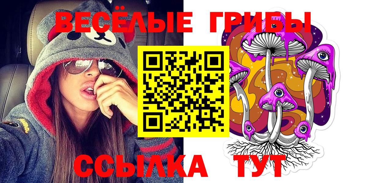 Кропоткин  Псилоцибиновые грибы Psilocybe  купить наркоту  Вход с VPN 